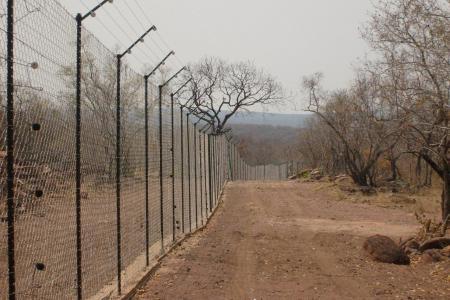 Electric Fence (9).jpg