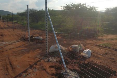 Electric Fence (18).jpg