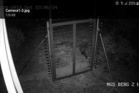 Electric Fence (6).jpg