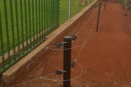 Electric Fence (4).jpg